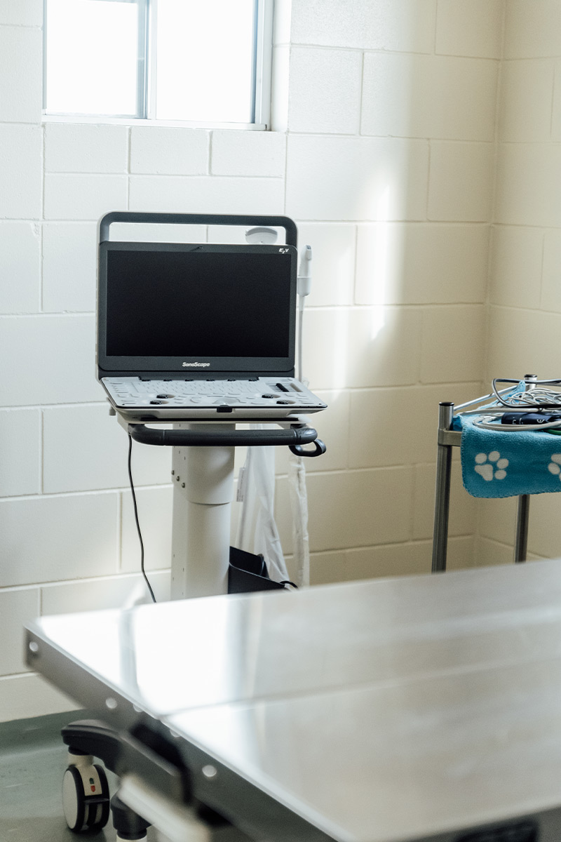 Burdekin Vet Services - Diagnostic Equipment 