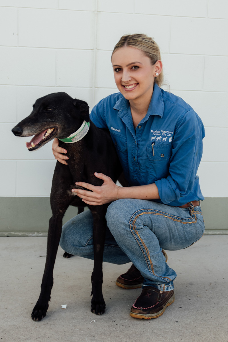 Burdekin Vet Services - Greyhound Vet Services
