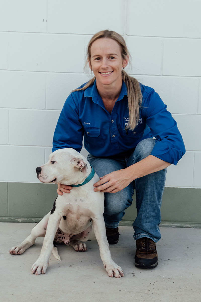 Burdekin Vet Services - Meet Our Team - Casey