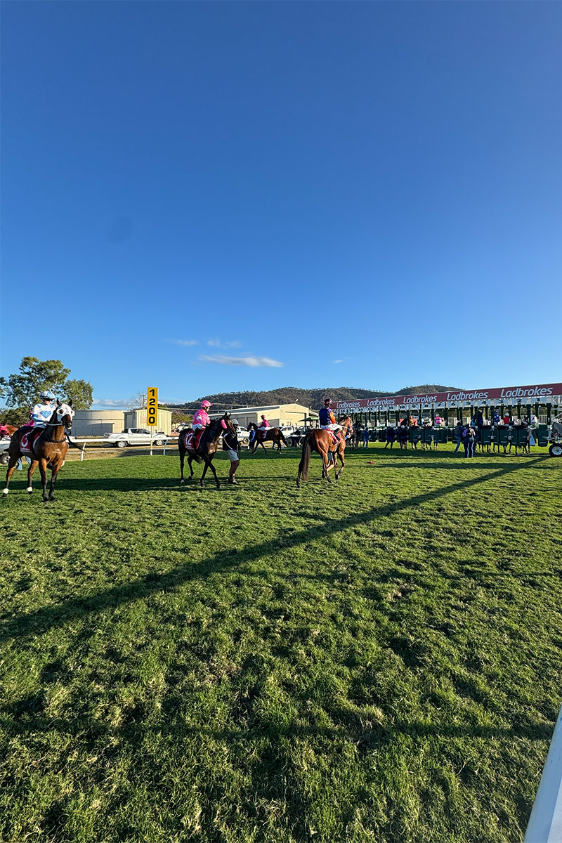 Burdekin Vet Services - Thoroughbred Vet Services