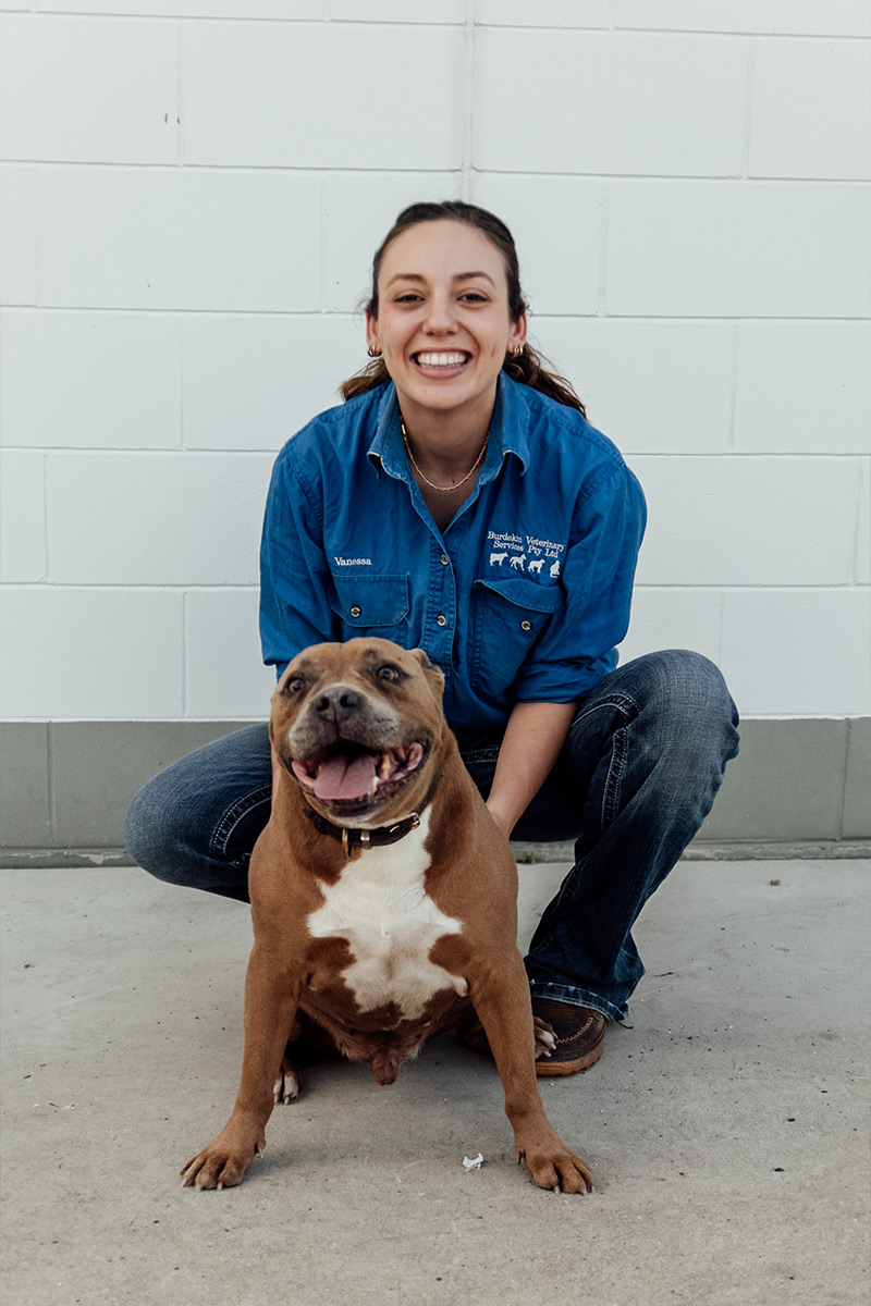 Burdekin Vet Services - Dog Vet Services