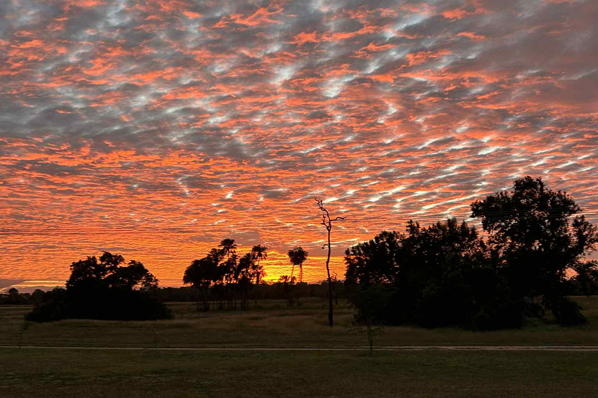 Burdekin Vet Services - Outcalls - Visiting Vet Services