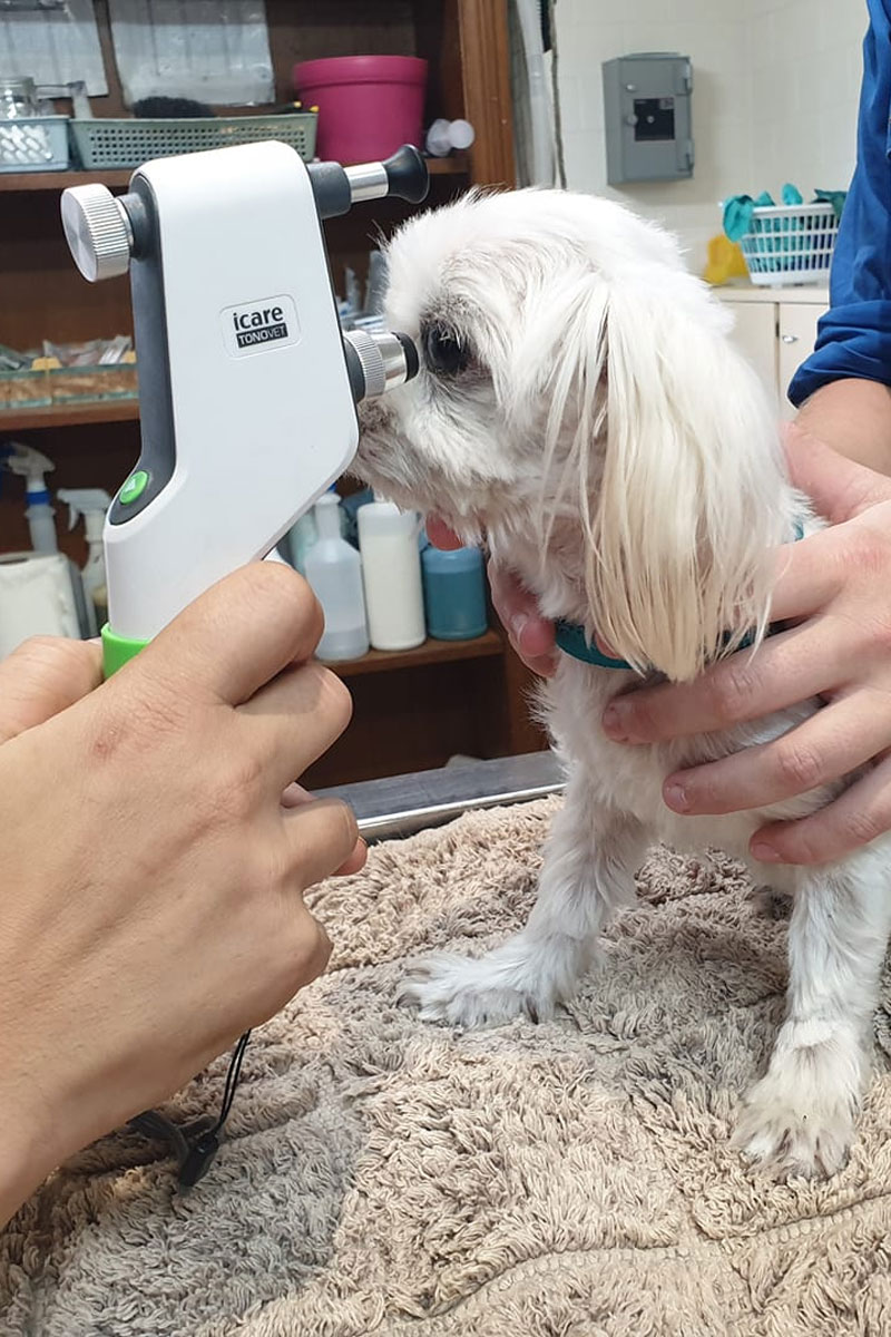 Burdekin Vet Services - Diagnostics - Totometer